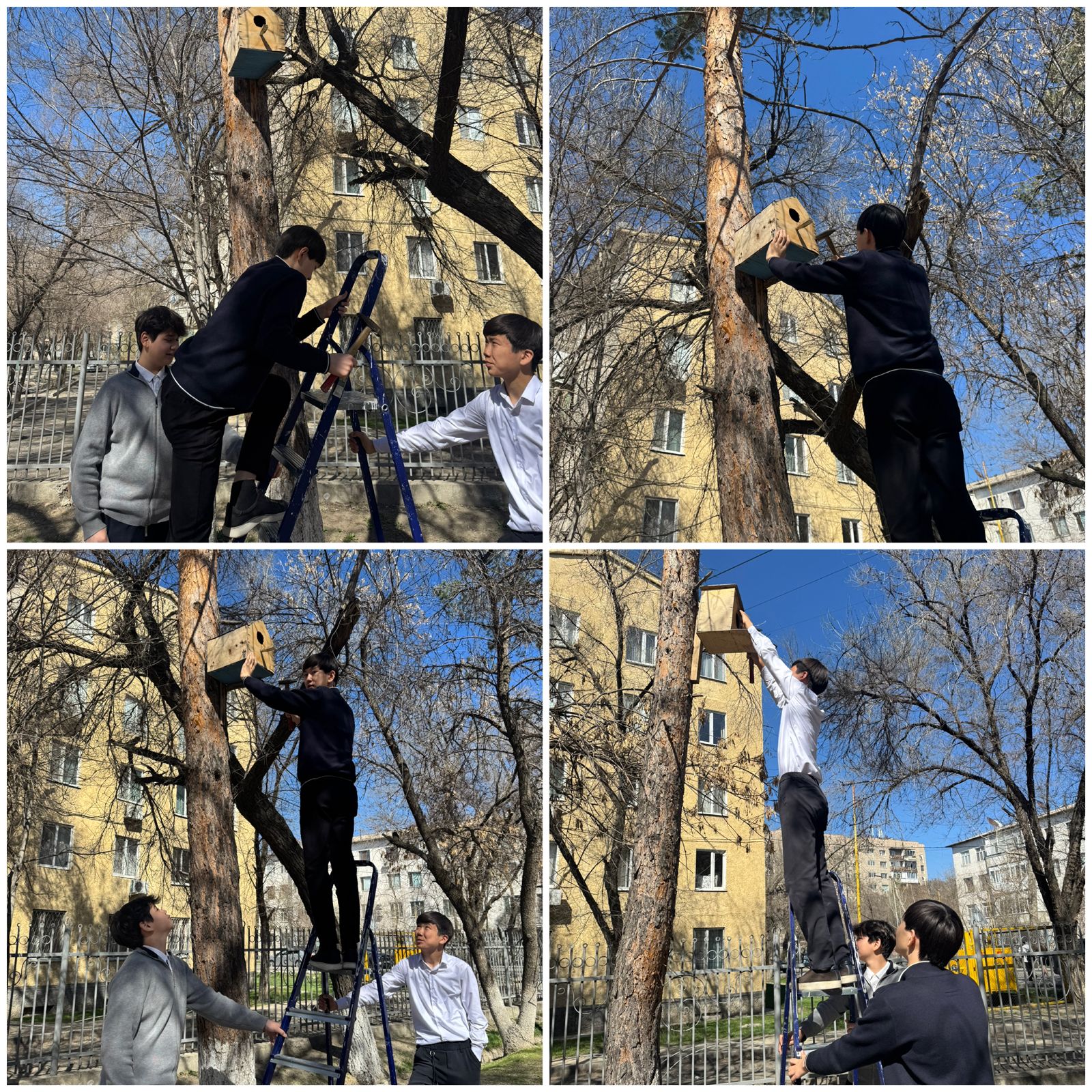 Халықаралық Құстар күні